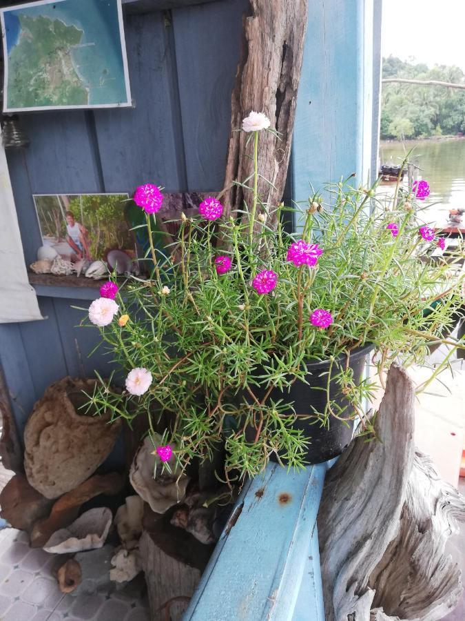 Firefly Guesthouse Prek Svay Village 外观 照片
